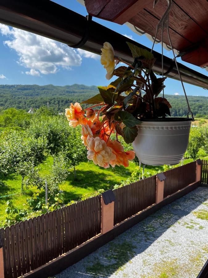 Casa De Vacanta Orsi Hotel Sovata Bagian luar foto